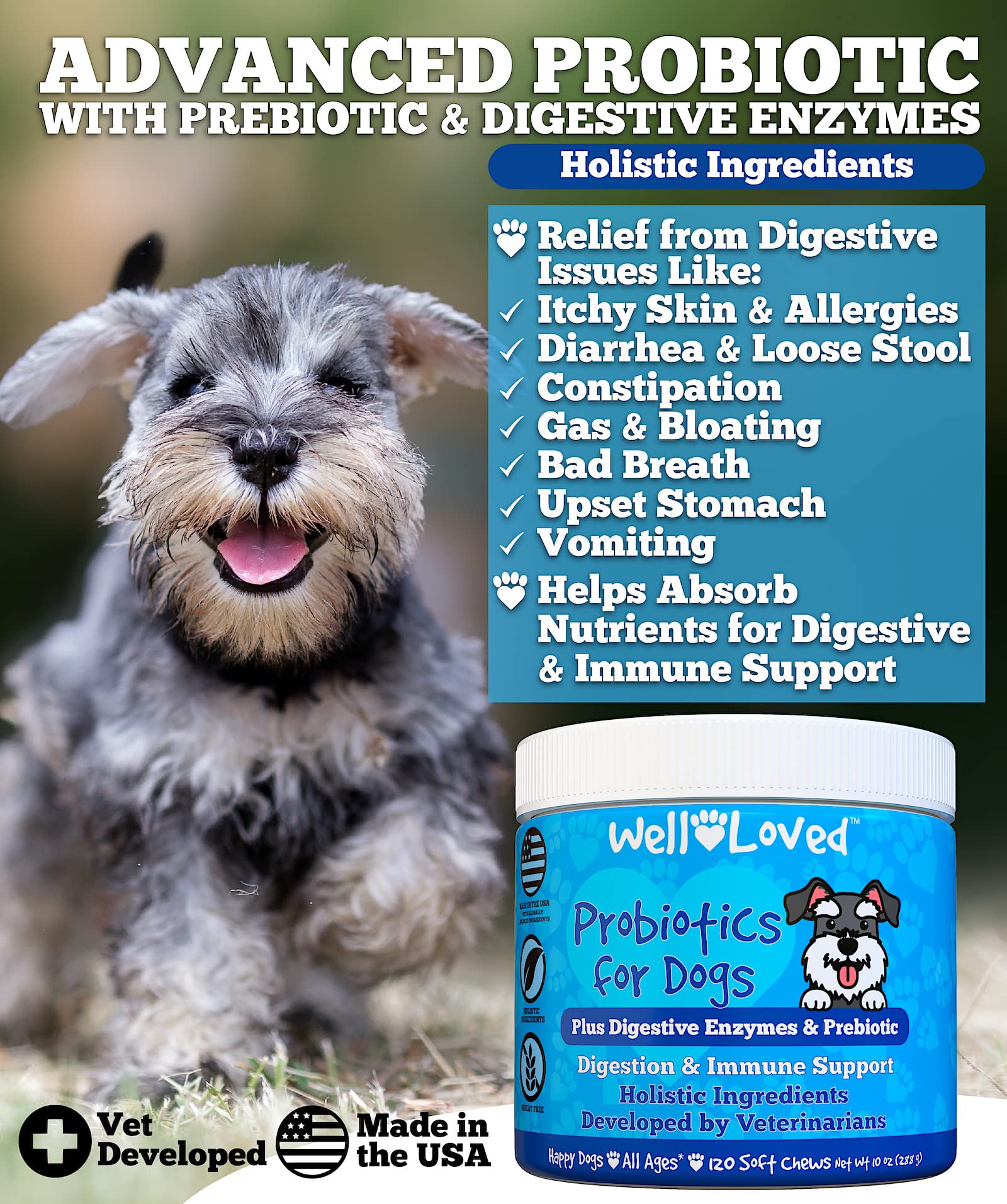 Well Loved Probiotics for Dogs chews close-up show natural flavor that supports digestion.