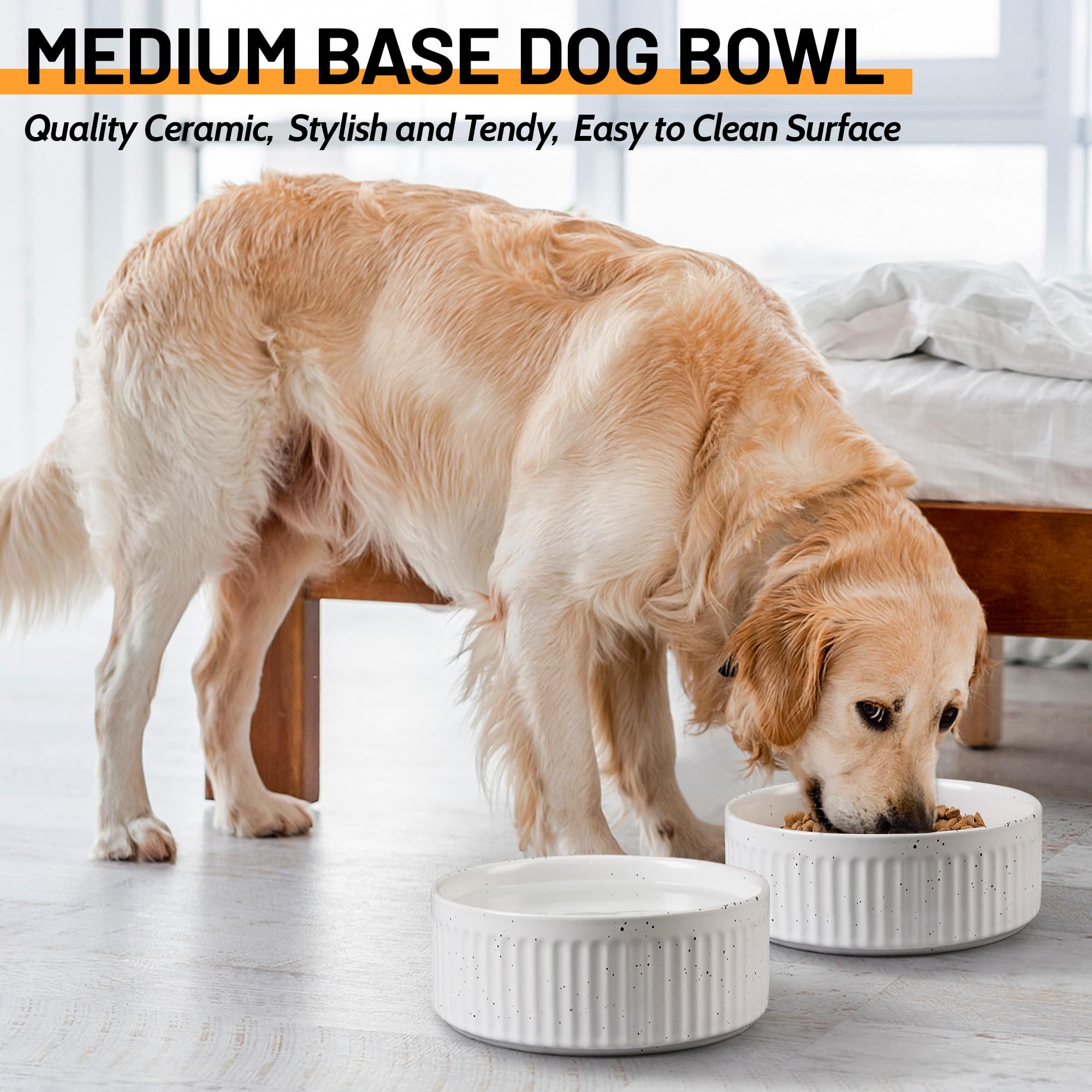 Wellbro 64oz capacity bowl supports longer meals and hydration