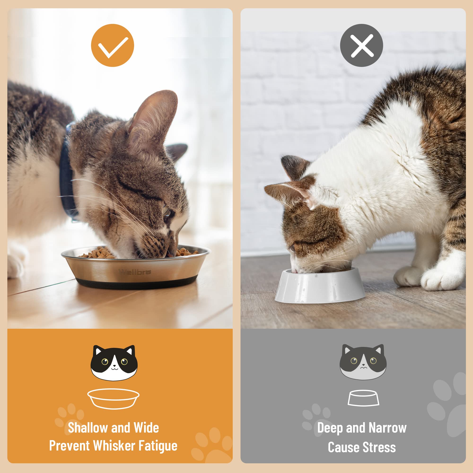 Wellbro anti-slip bottom keeps bowls steady during feeding.