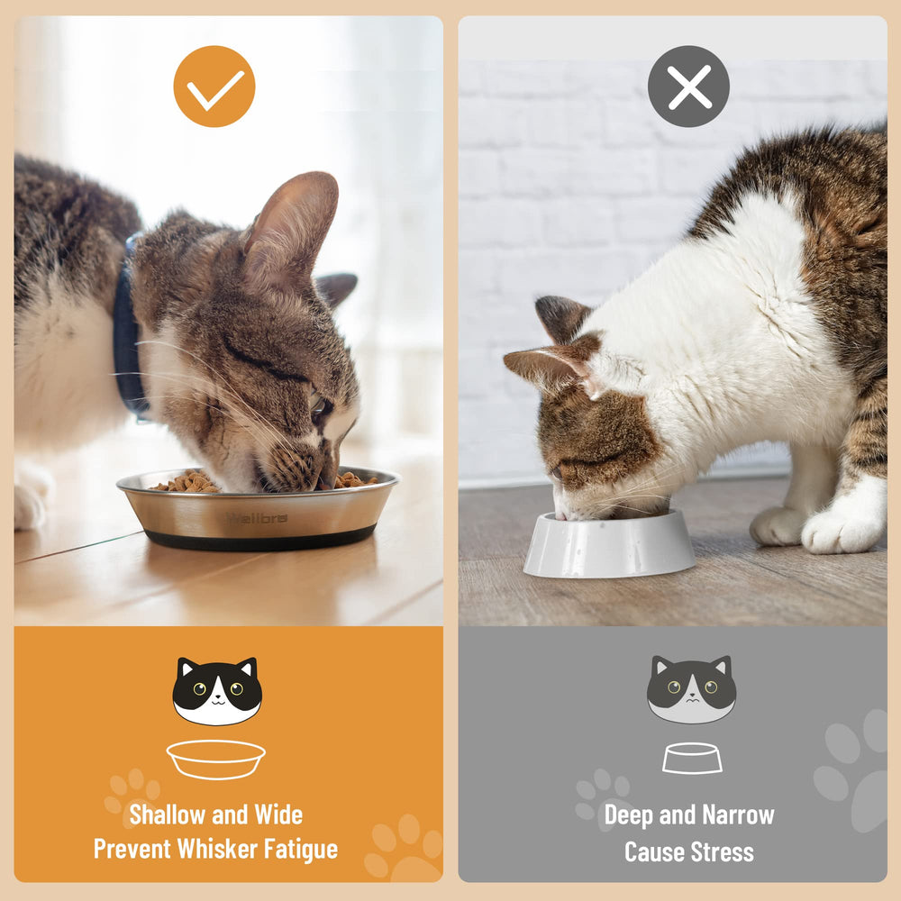 Wellbro anti-slip bottom keeps bowls steady during feeding.