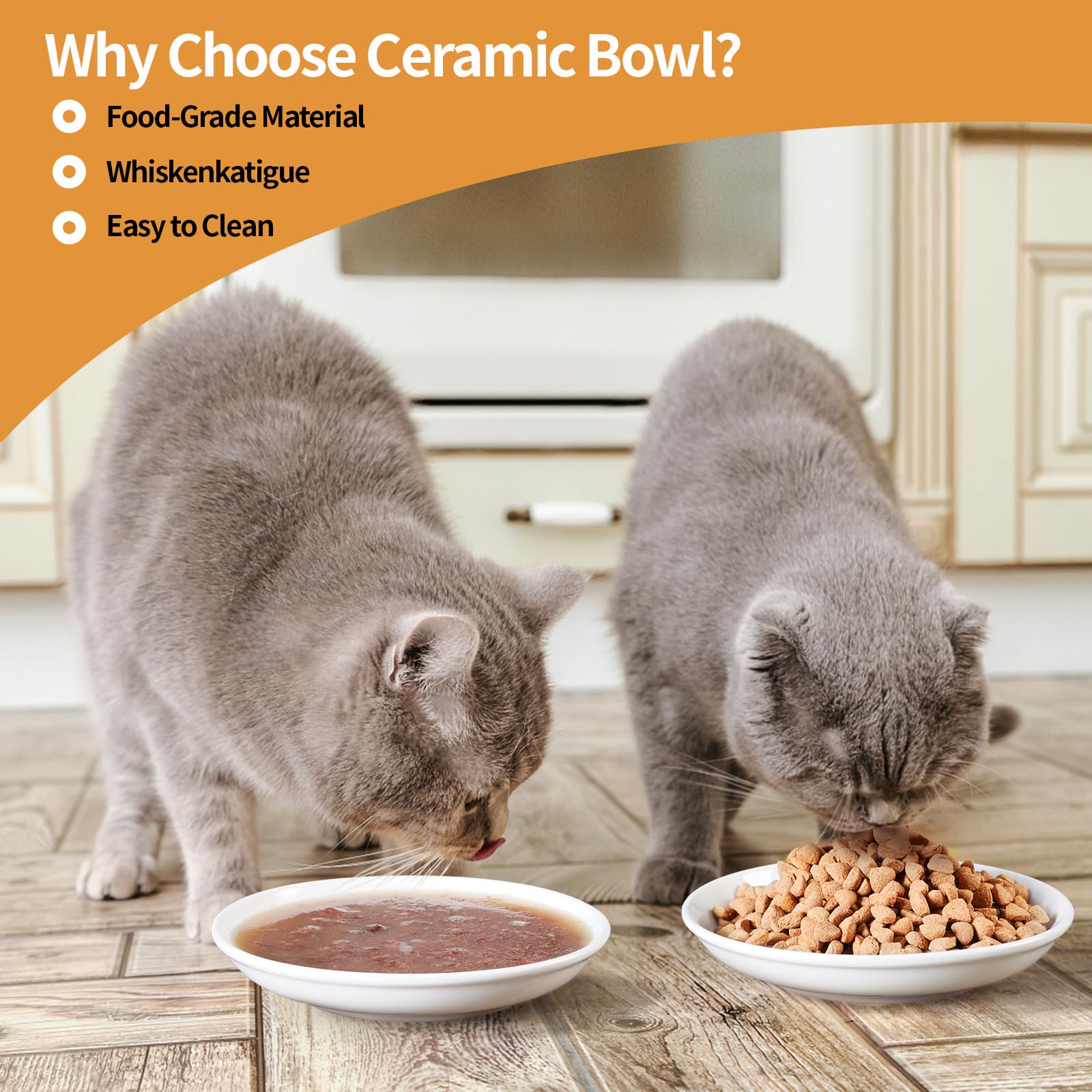 Wellbro cadmium-free glazed ceramic bowl designed for safe meals.