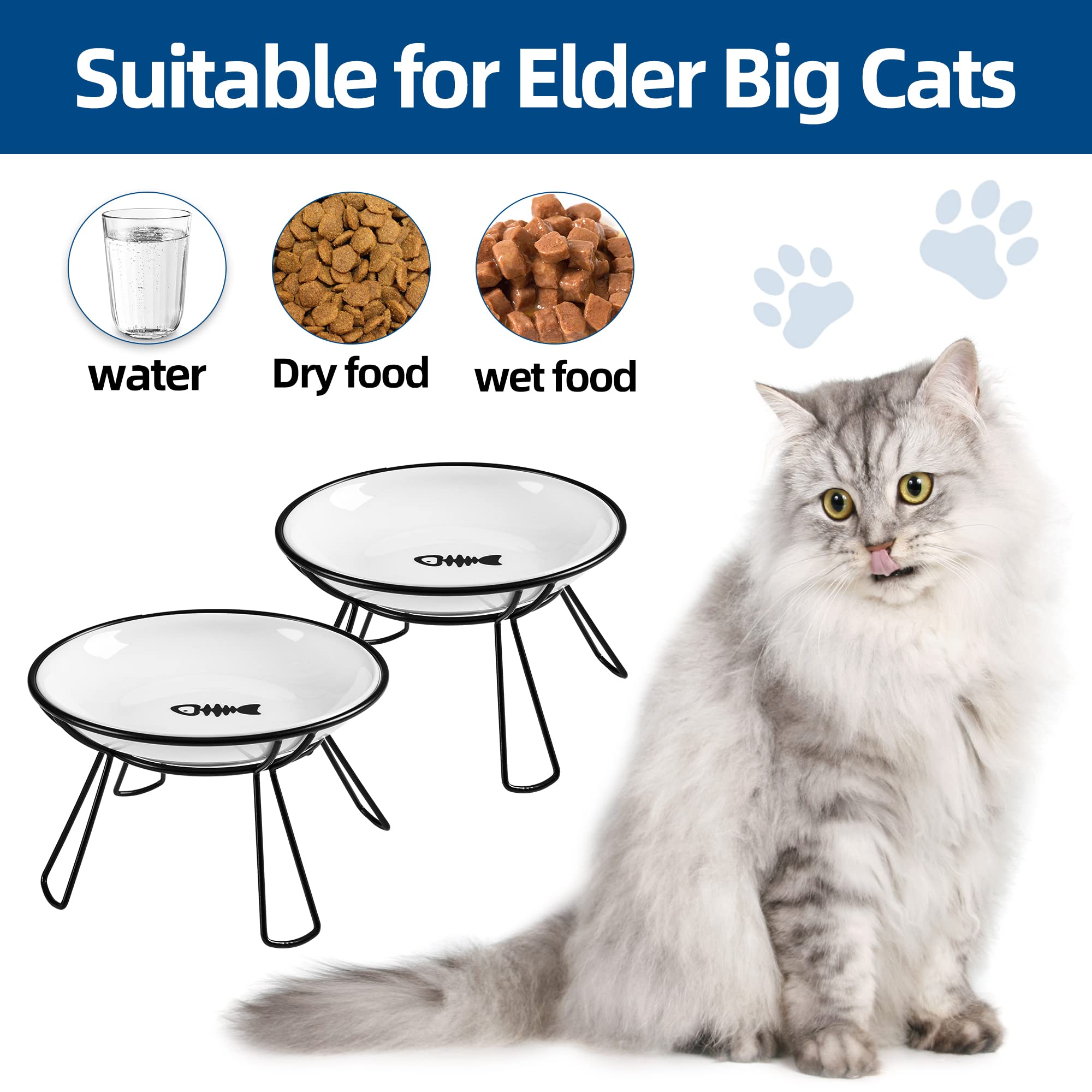 Wellbro 10oz food bowl designed for small pets and easy refills