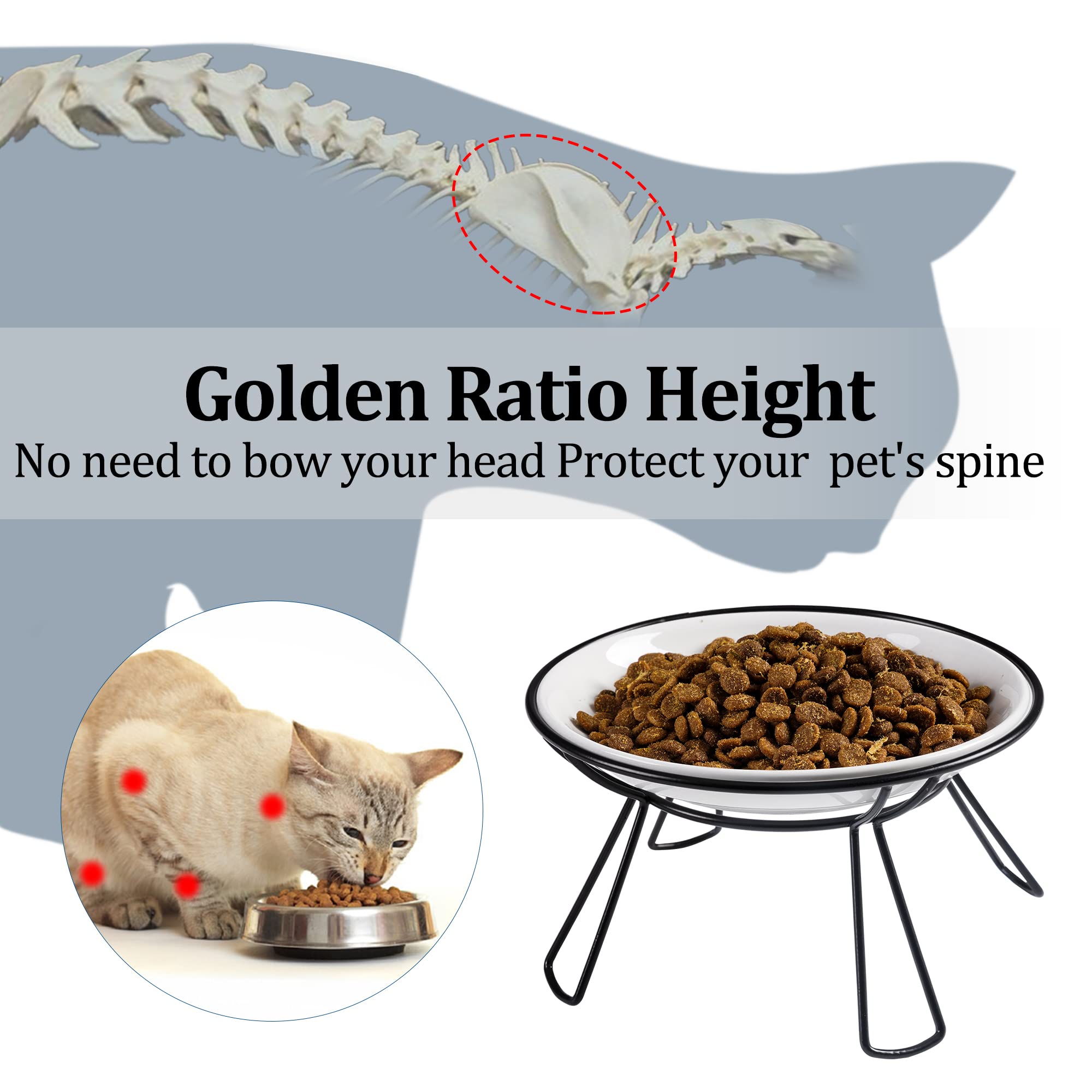 Wellbro elevated dual bowls showing water portion for tidy mealtimes