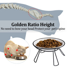 Wellbro elevated dual bowls showing water portion for tidy mealtimes