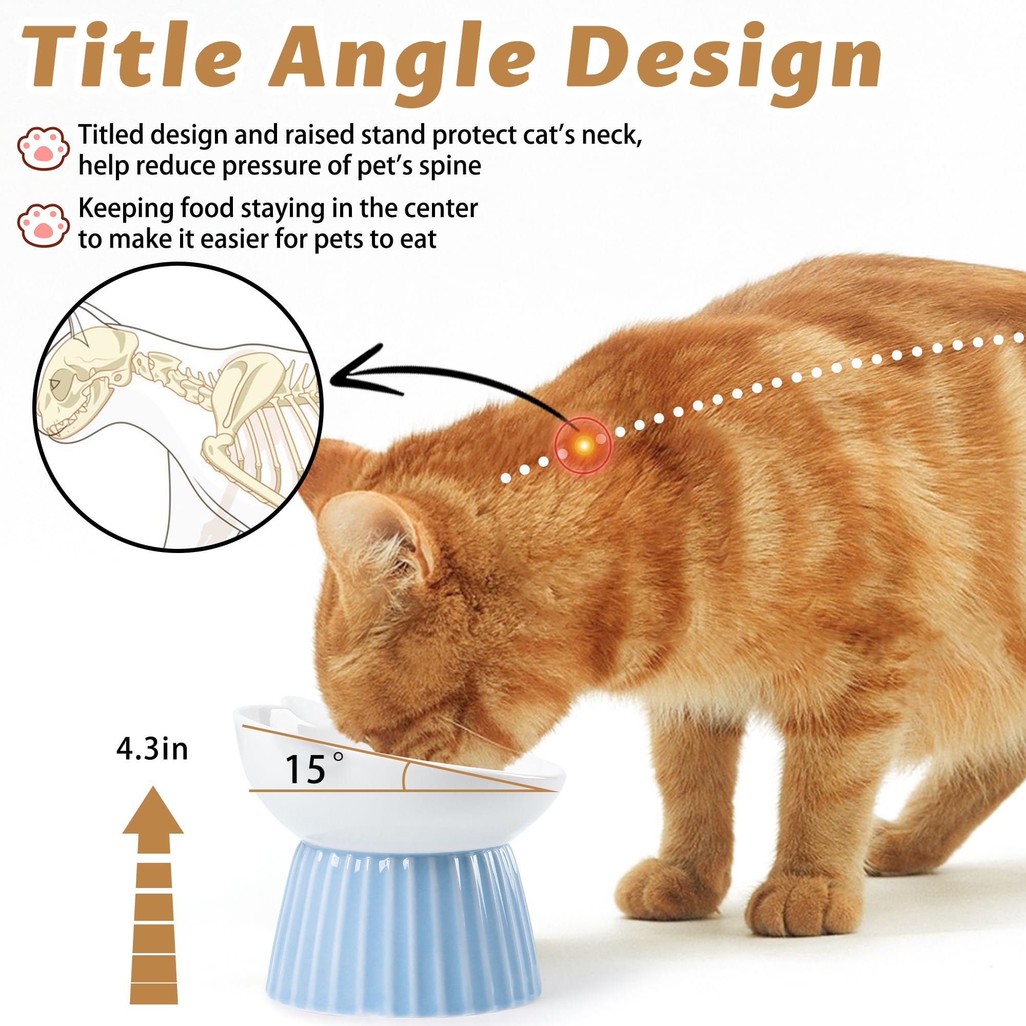 Wellbro cat eating from raised dish with whisker-friendly width.