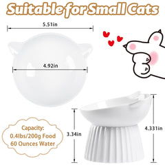 Wellbro ceramic raised cat bowl close-up shows tilted design for centered meals