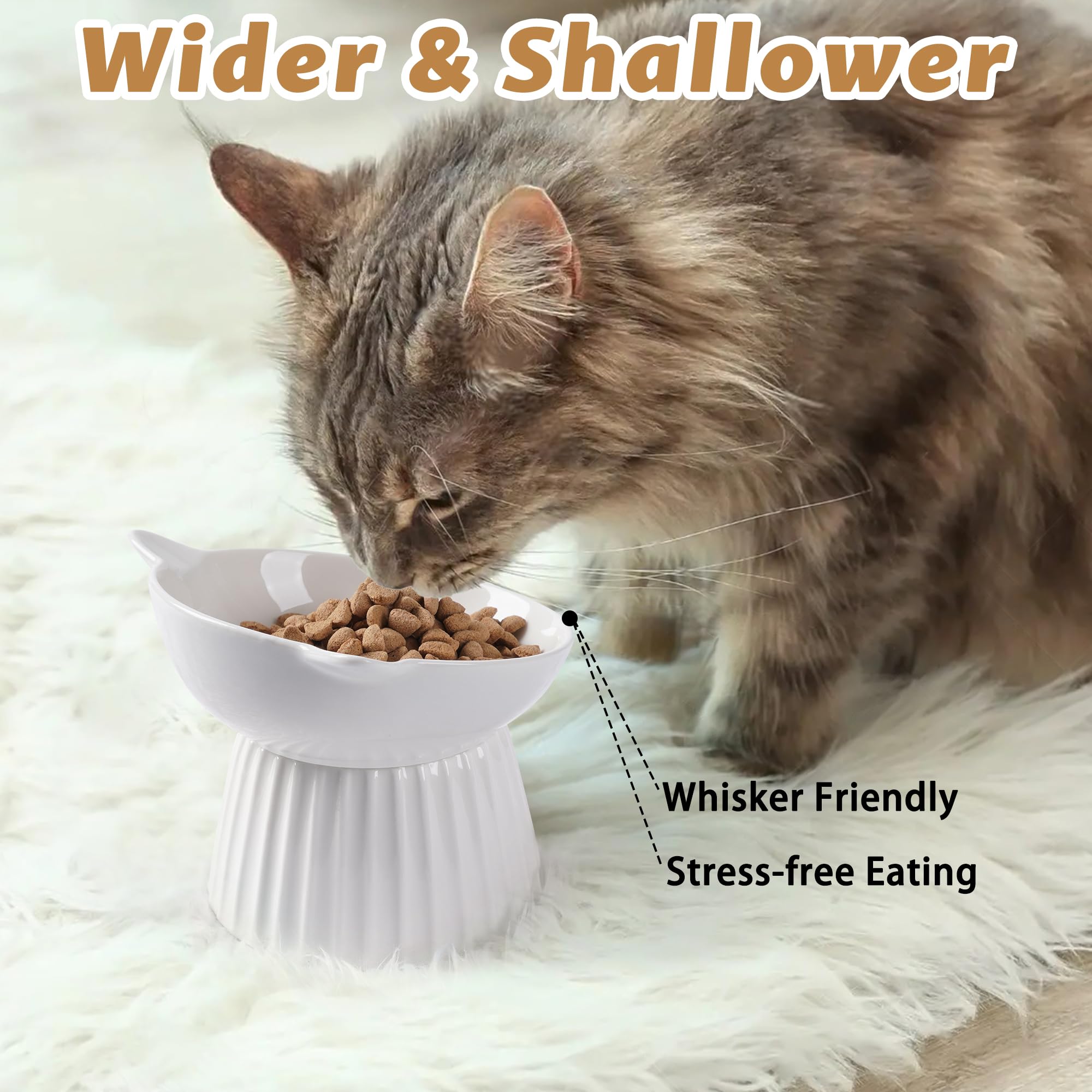 Wellbro lead-free, cadmium-free porcelain ceramic for safe use