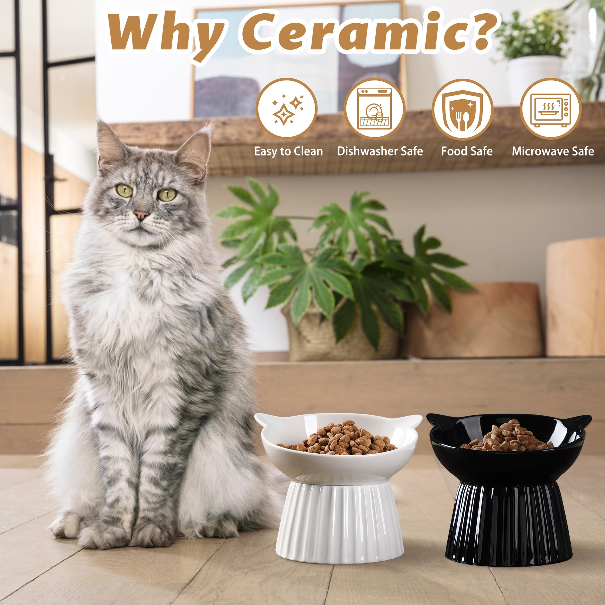 Wellbro dishwasher-safe cat bowl makes cleaning convenient