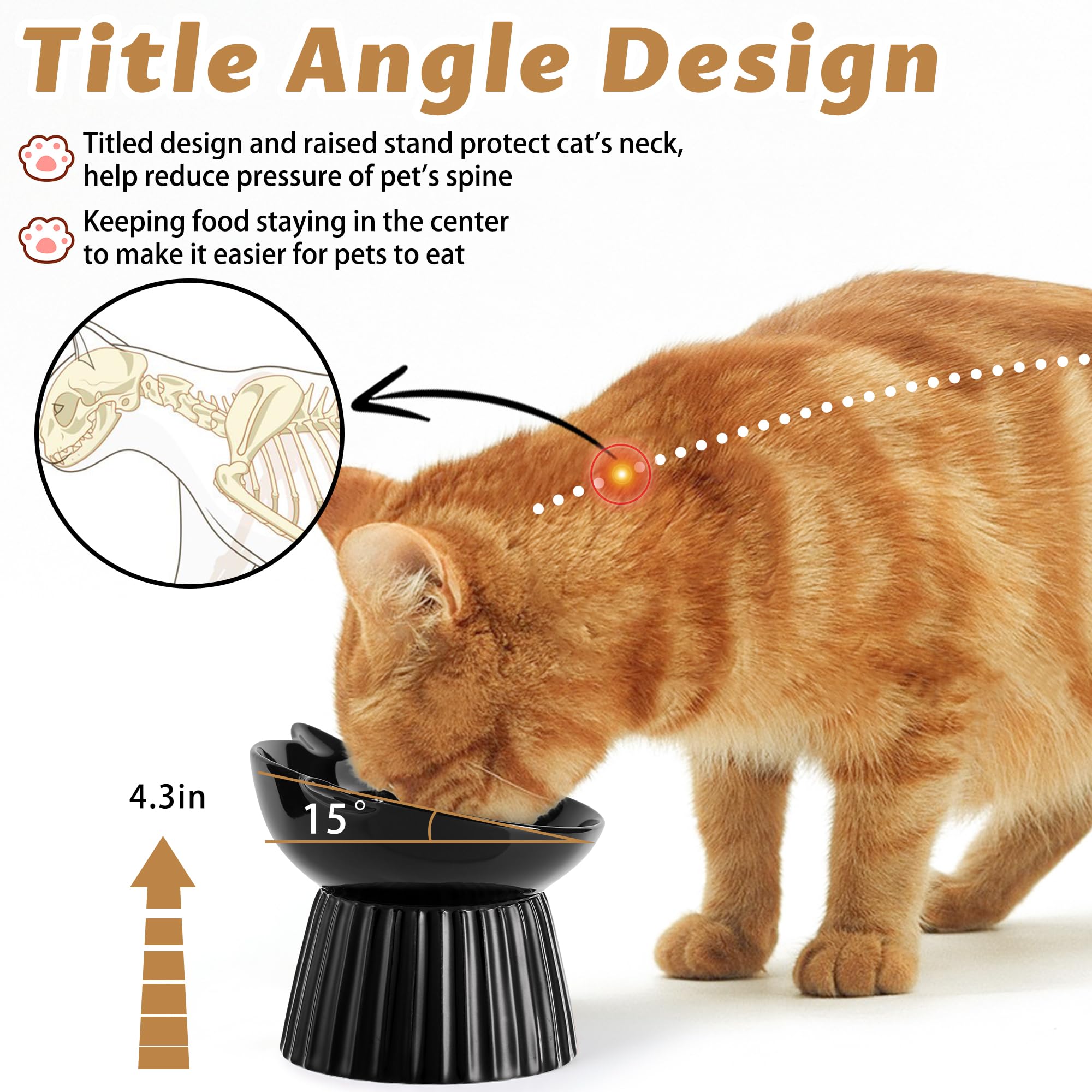 Wellbro whisker-friendly design supports indoor cats during meals