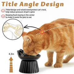 Wellbro whisker-friendly design supports indoor cats during meals