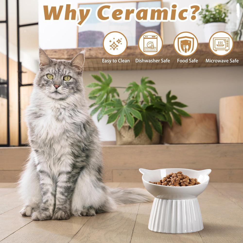 Wellbro 2-pack ideal for pets and rotating mealtimes
