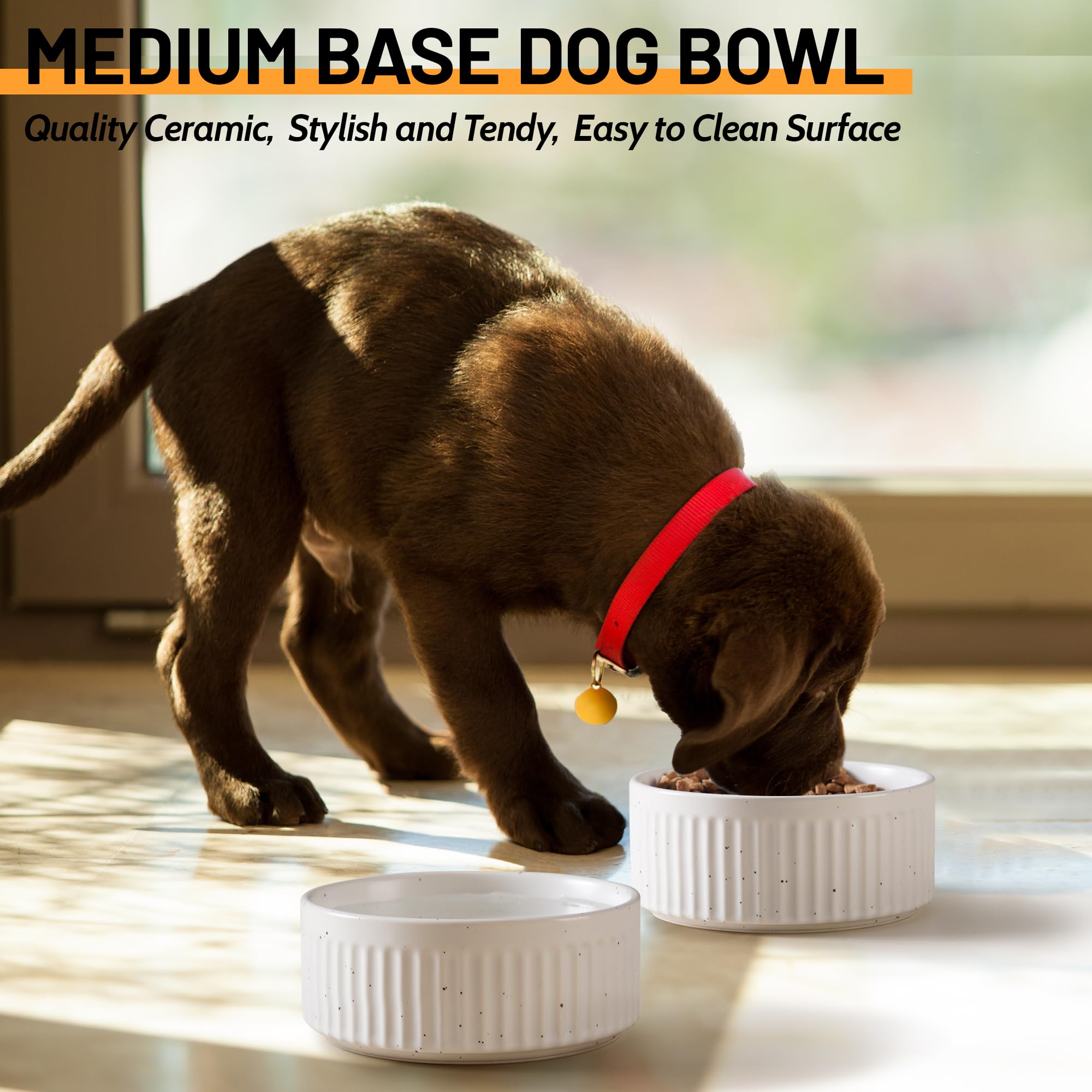 Wellbro smooth glazed ceramic surface is dishwasher safe