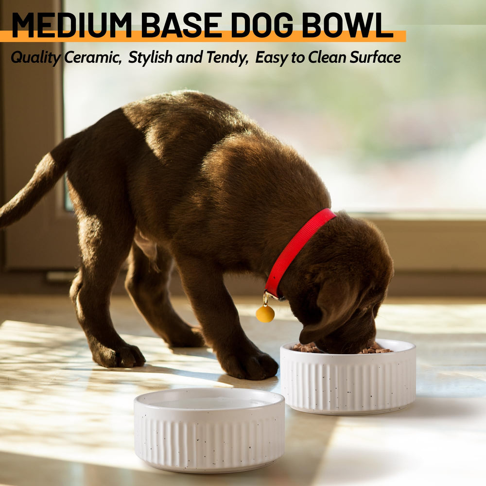 Wellbro smooth glazed ceramic surface is dishwasher safe
