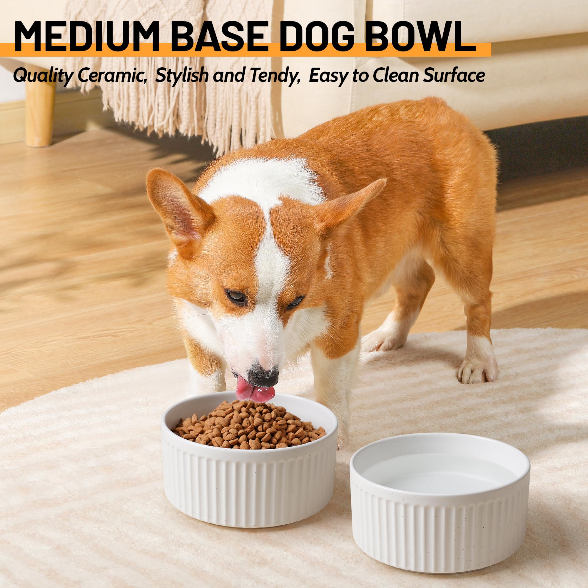 Wellbro dishwasher-safe bowls simplify after-meal cleanup.