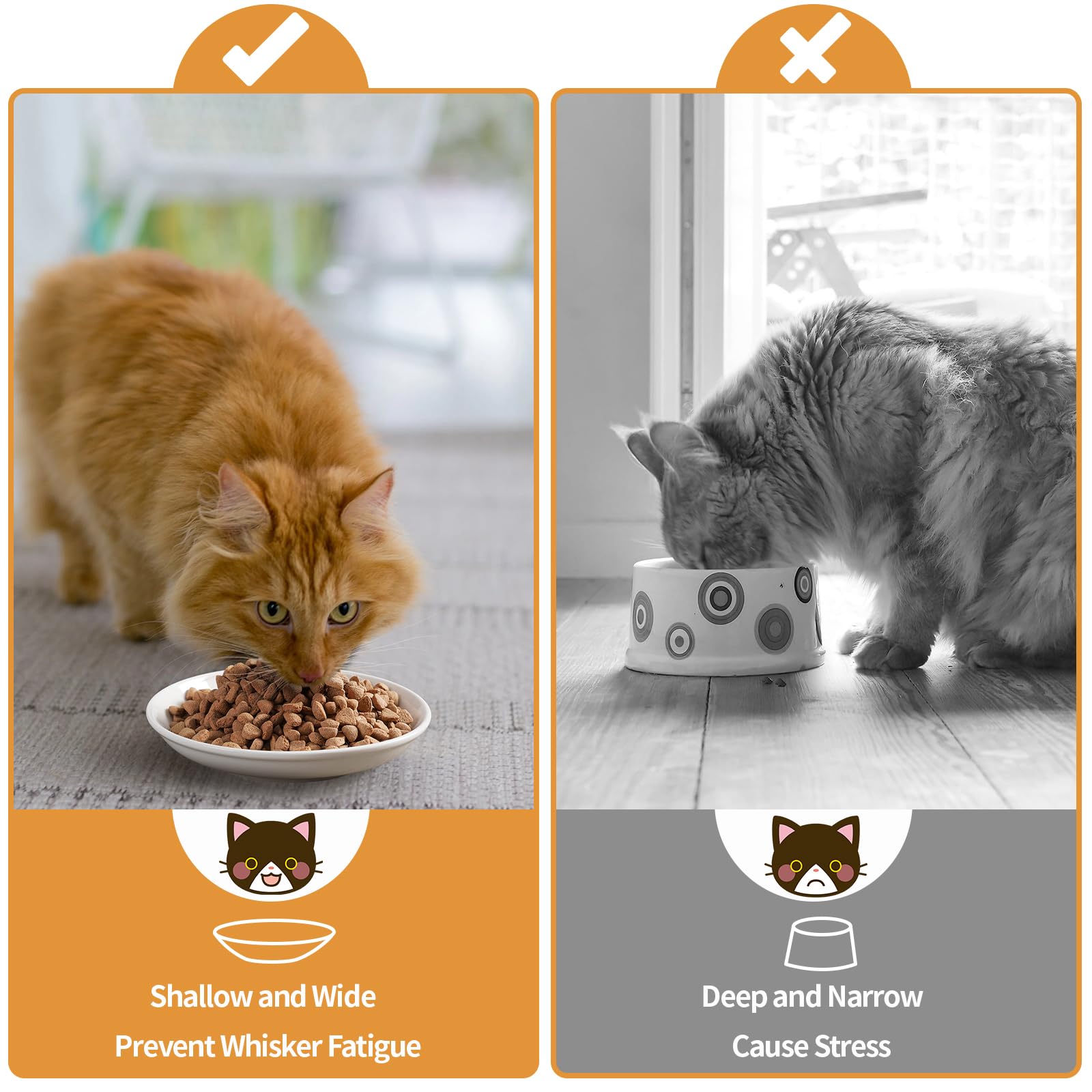 Wellbro durable dishware for daily pet feeding routines.