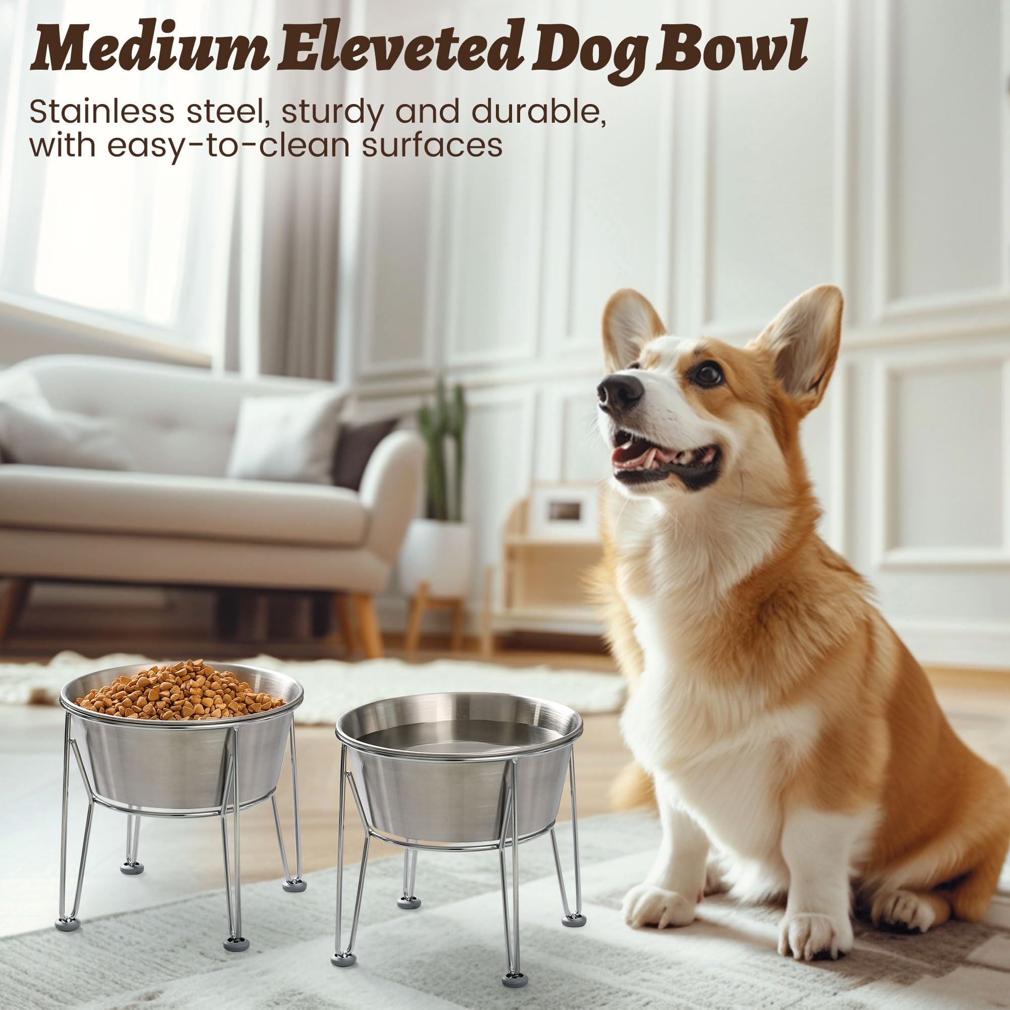 Wellbro easy-clean stainless steel bowls ready for daily use
