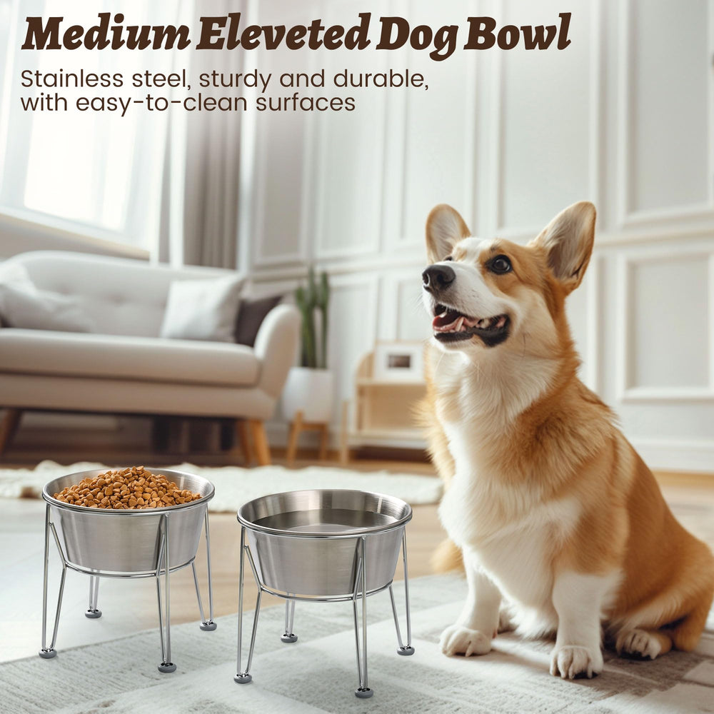 Wellbro easy-clean stainless steel bowls ready for daily use