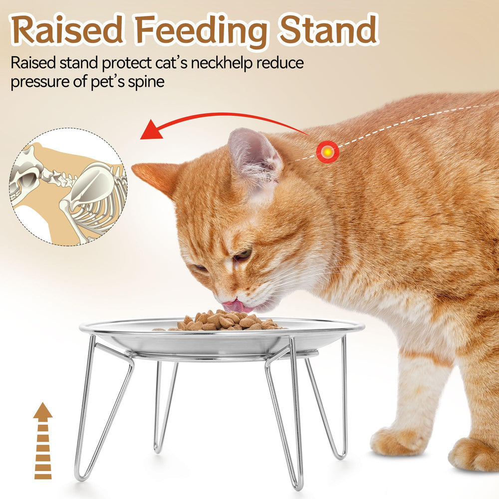 Wellbro elevated cat bowls supporting neck posture during meals