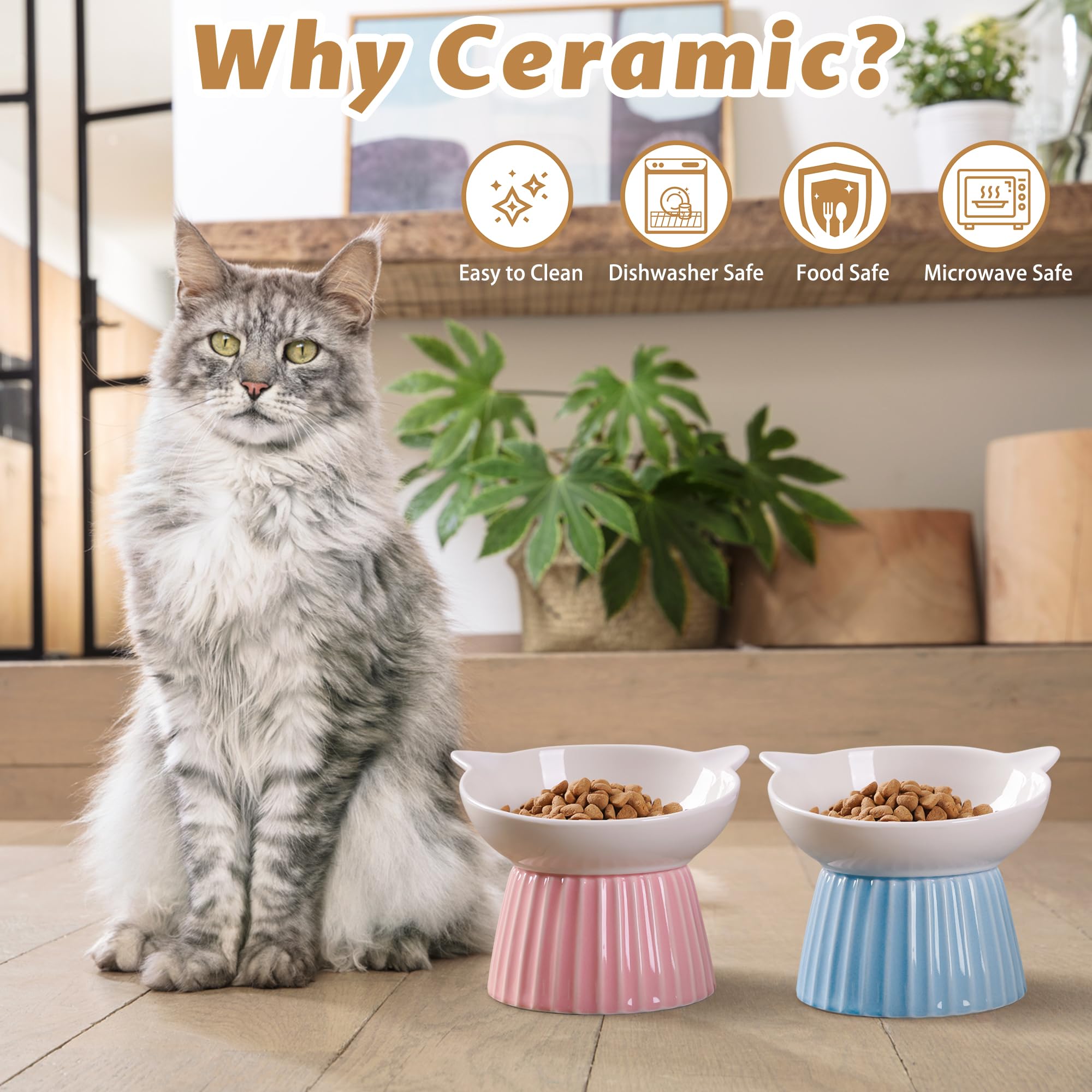 Wellbro health-focused porcelain—lead- and cadmium-free for pets.