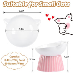 Wellbro tilted cat bowl detail showing 15-degree tilt for centered portions.