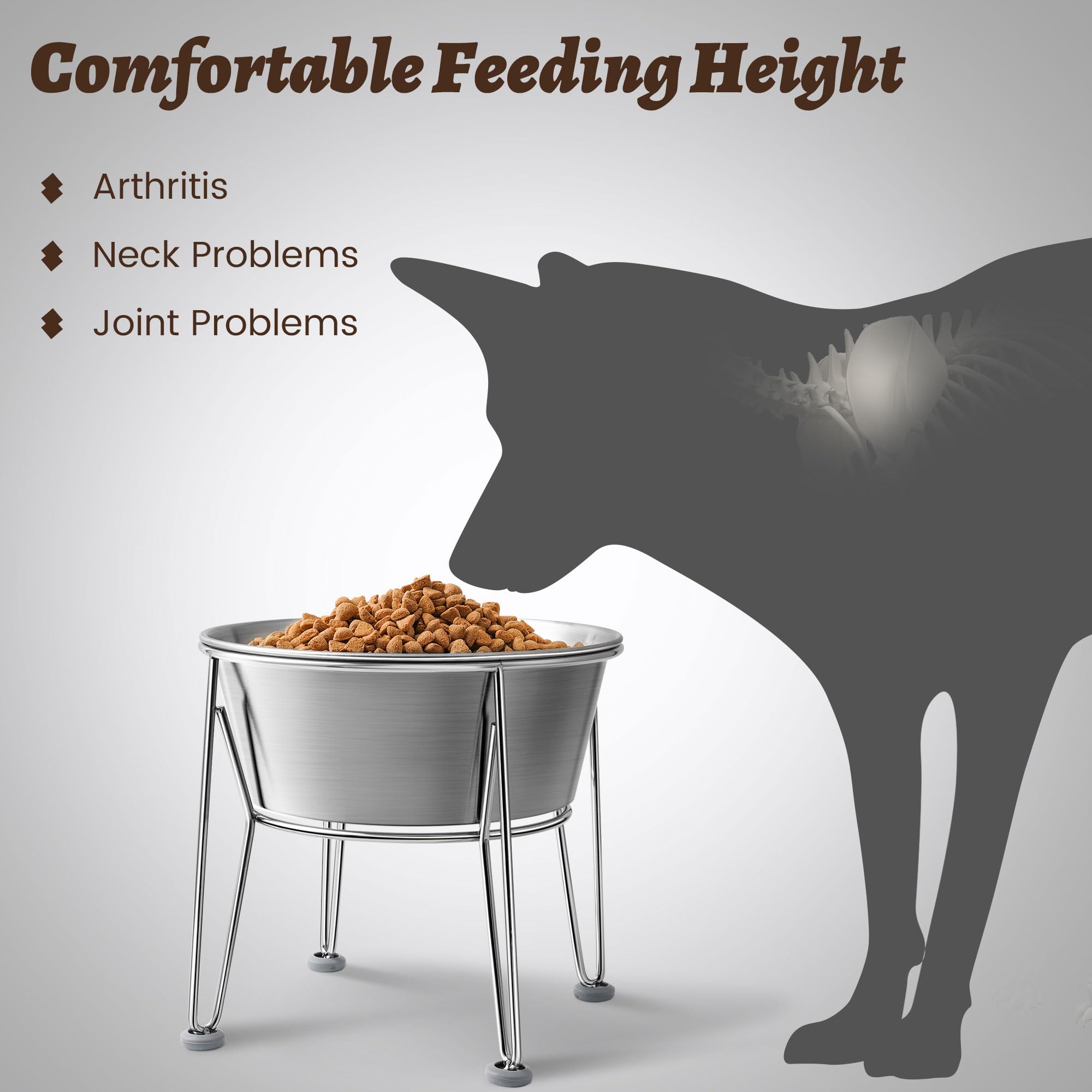 Wellbro two-pack elevated bowls for multi-pet households