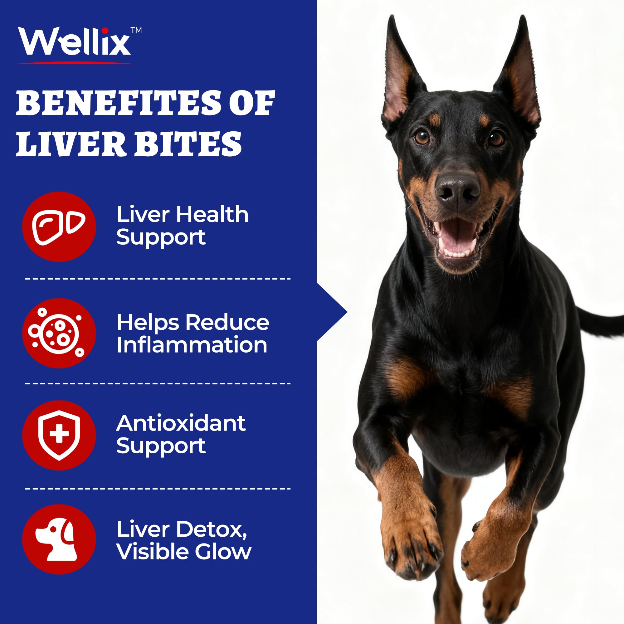 Wellix 260 Bites dog chews on floor, tasty liver support during meals.