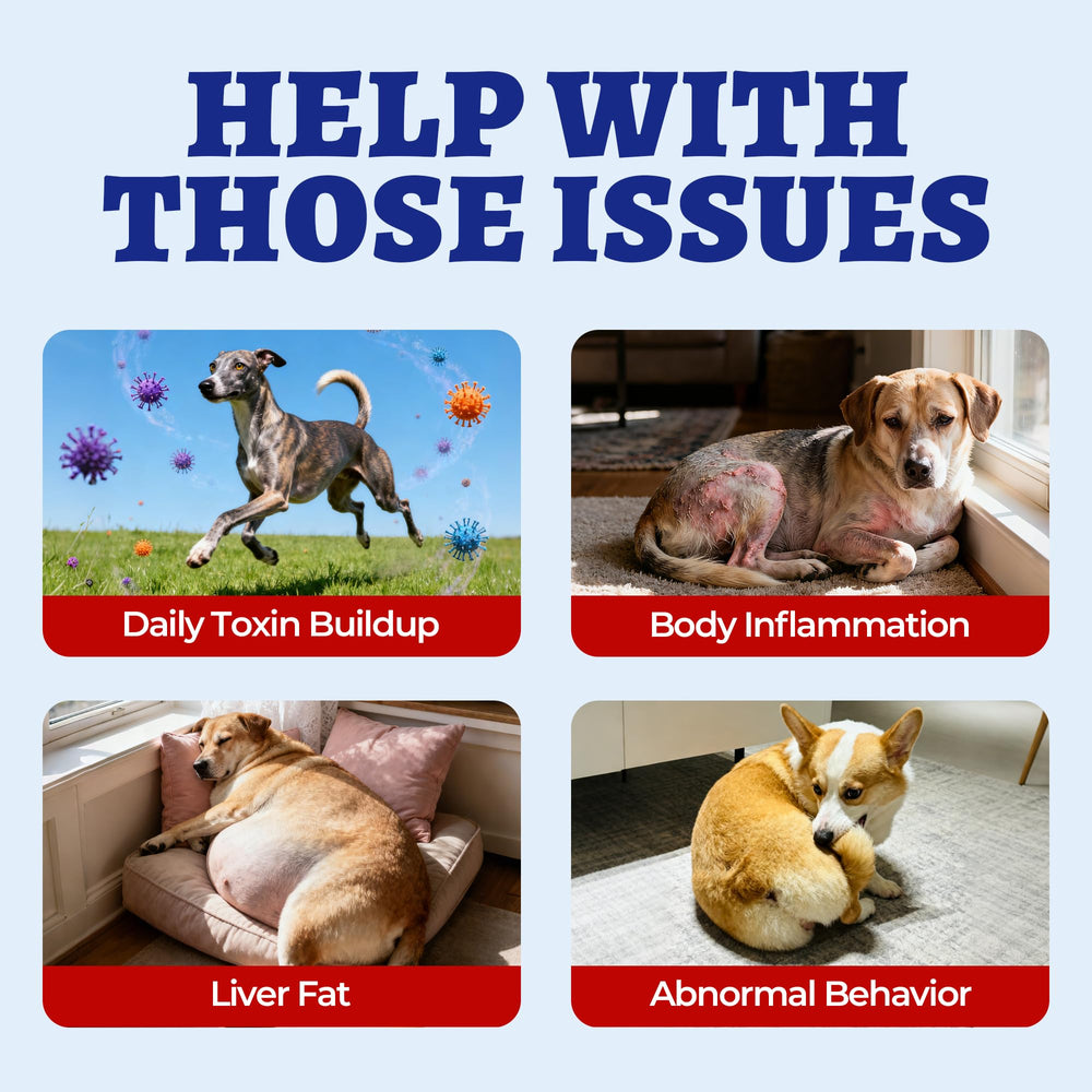 Wellix 260 Bites chicken-flavored chews for dogs, appealing taste with liver support.