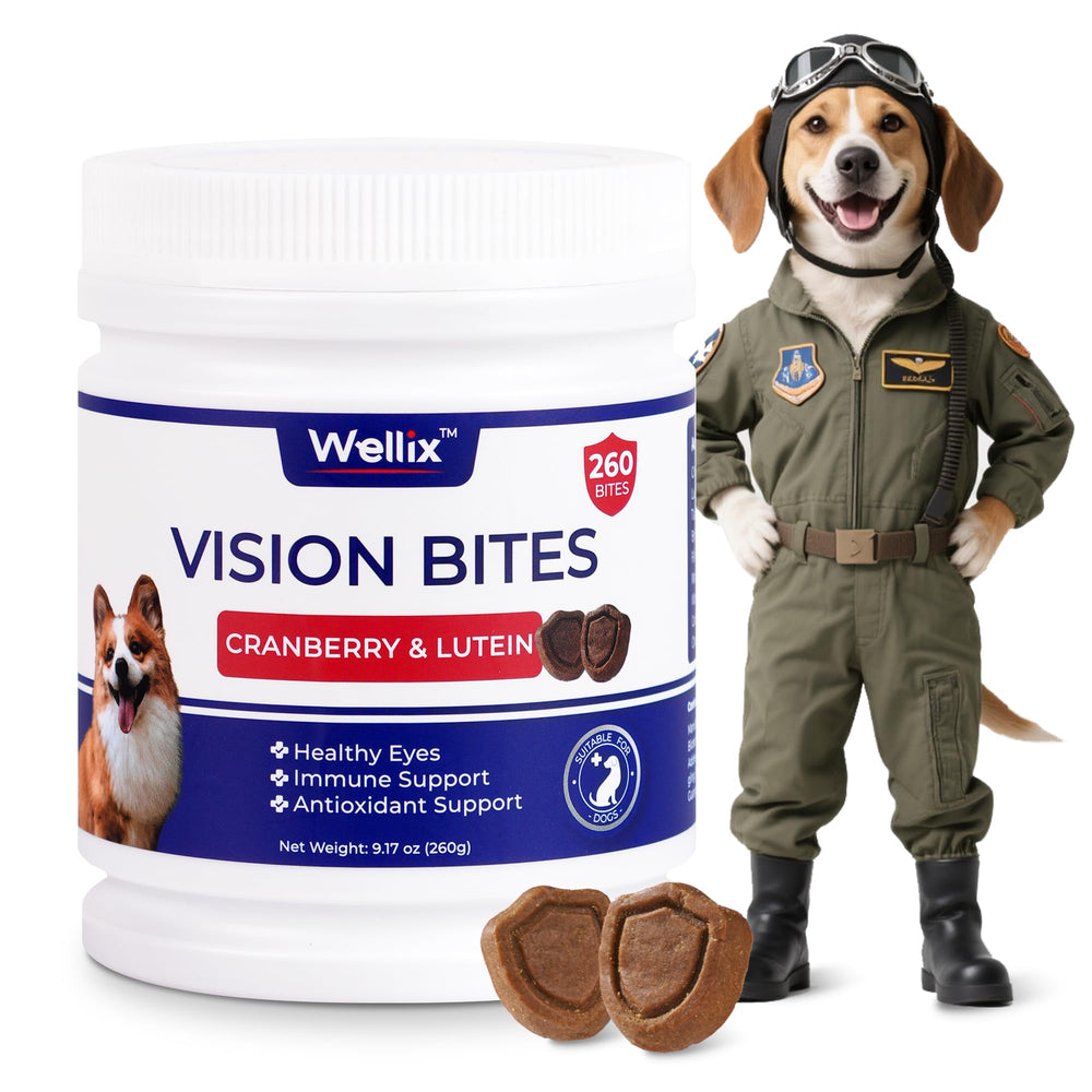Wellix Vision Taurine bottle chews support eye health for dogs.