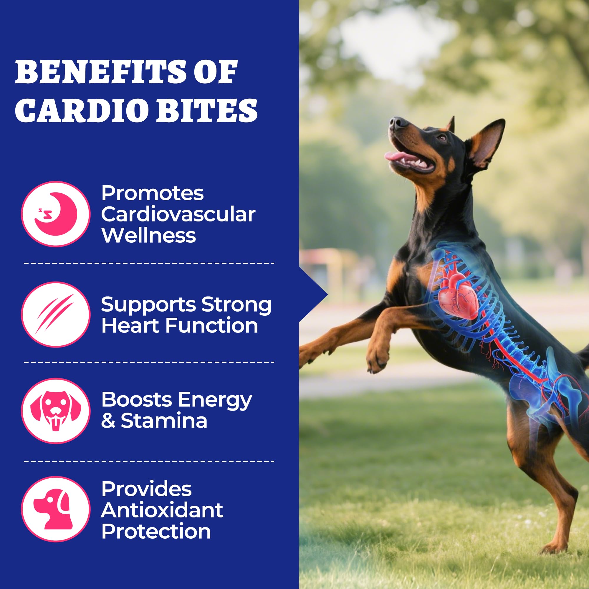 Wellix Cardio Taurine chicken chews close-up highlights tasty flavor and palatability.