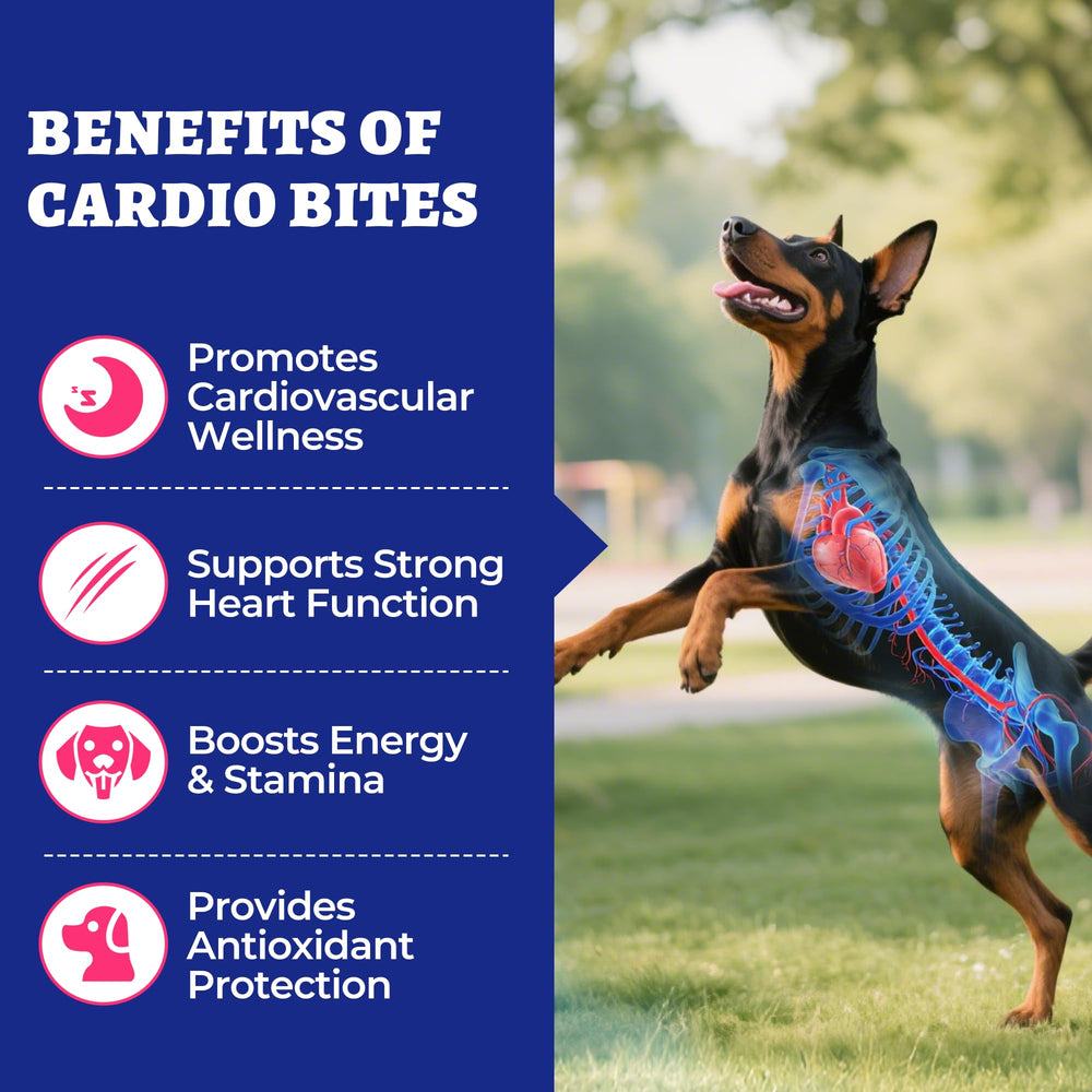 Wellix Cardio Taurine chicken chews close-up highlights tasty flavor and palatability.