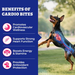Wellix Cardio Taurine chicken chews close-up highlights tasty flavor and palatability.