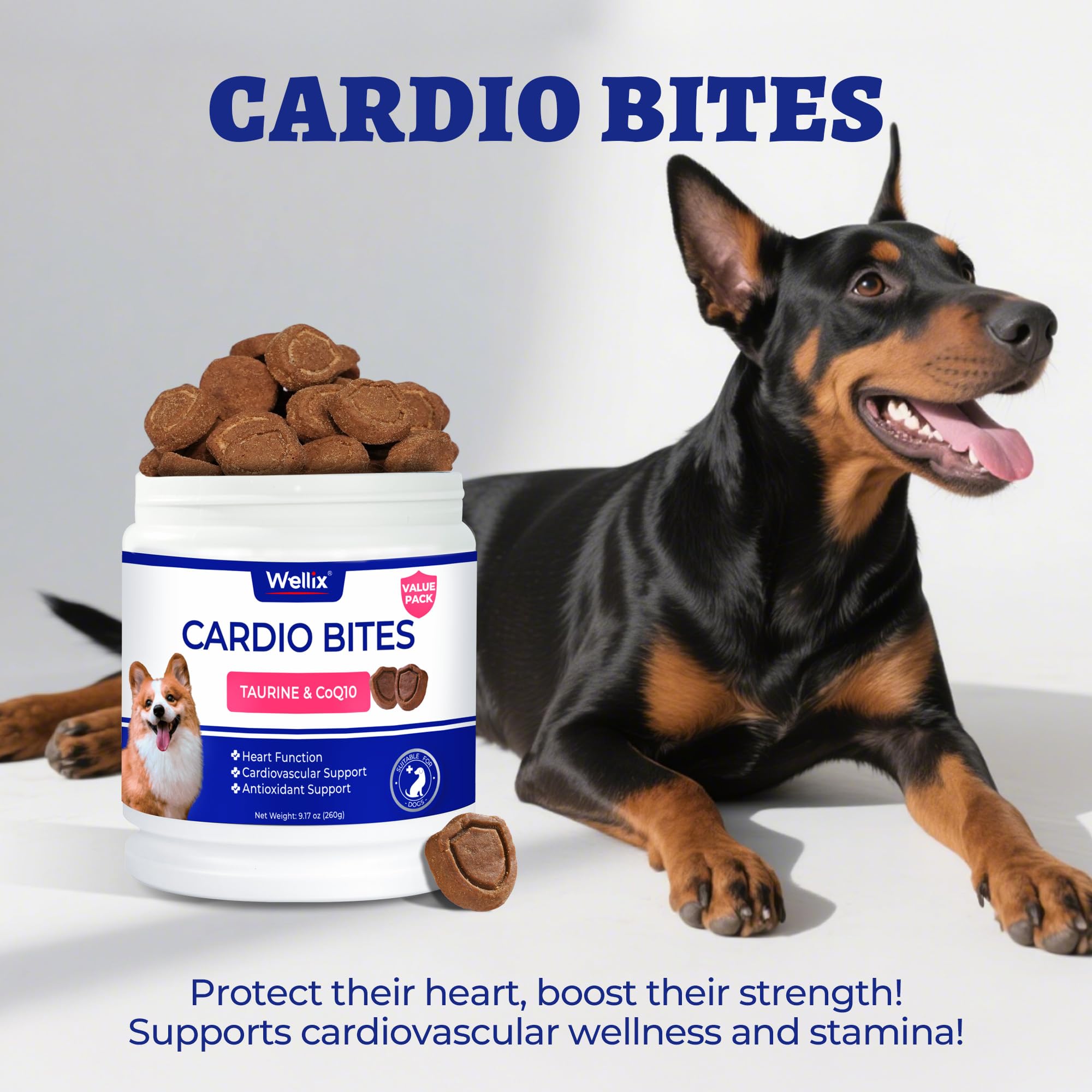 Wellix ingredient list highlights taurine, CoQ10, fish oil, and L-Carnitine.