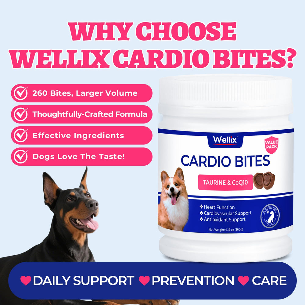 Wellix L-Carnitine dog chews visual showcases energy-supporting ingredient.