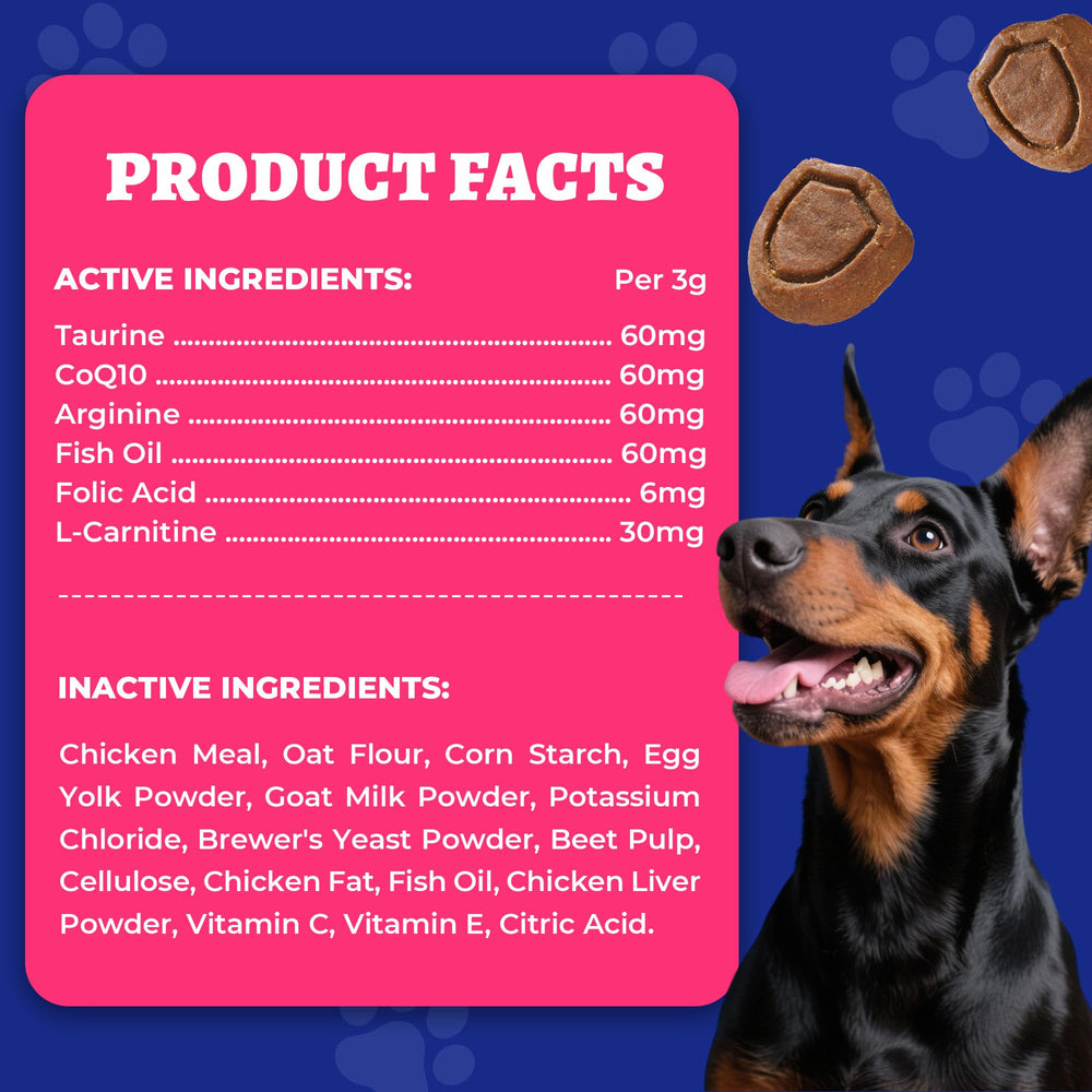 Wellix senior dog benefit image suggests age-friendly heart support.