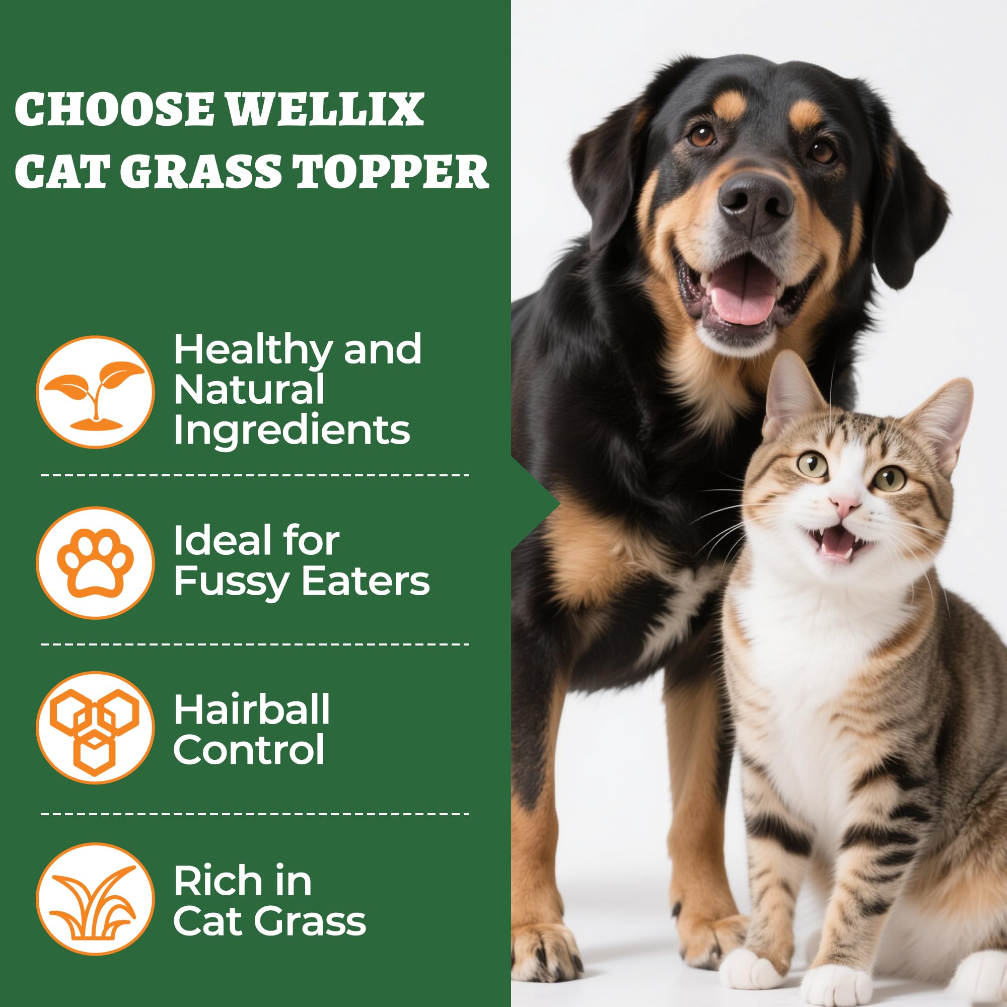 Wellix topper spoon included demonstrates easy portioning