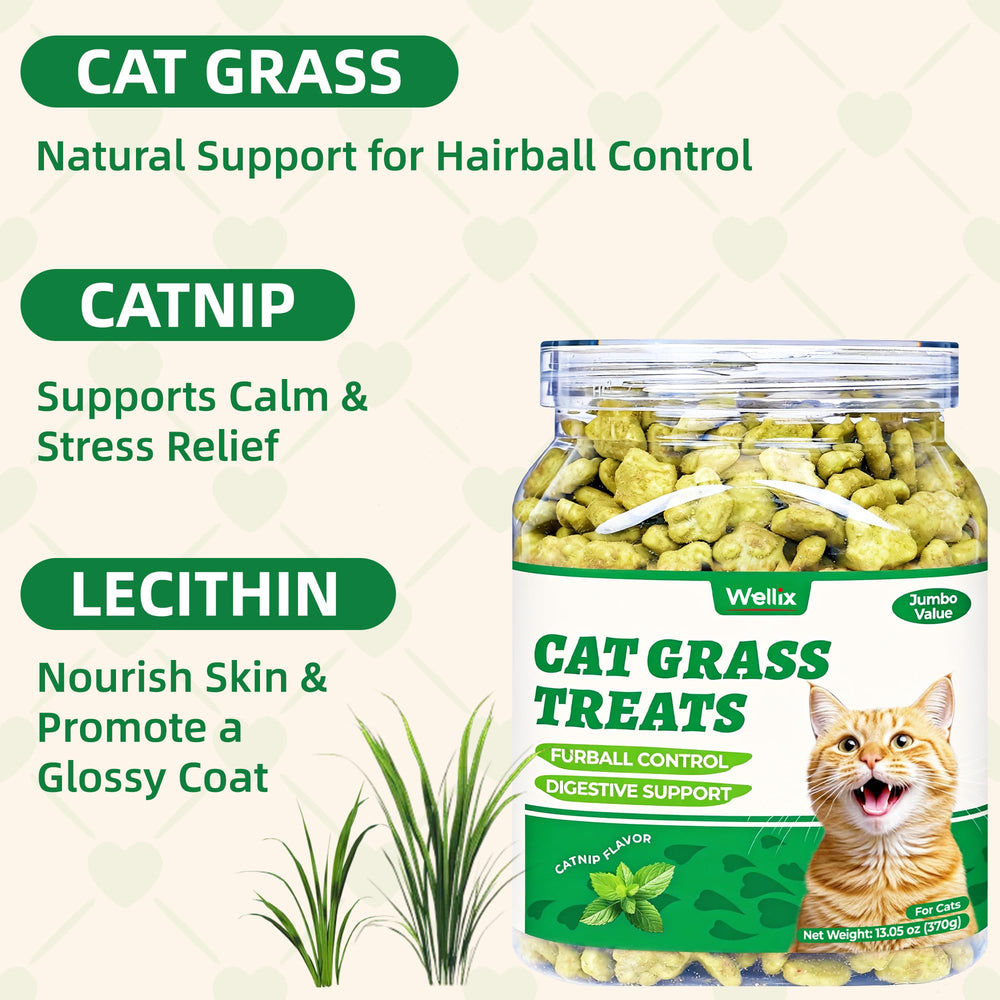 Wellix cat grass treats with catnip and salmon ingredients appeal to cats.