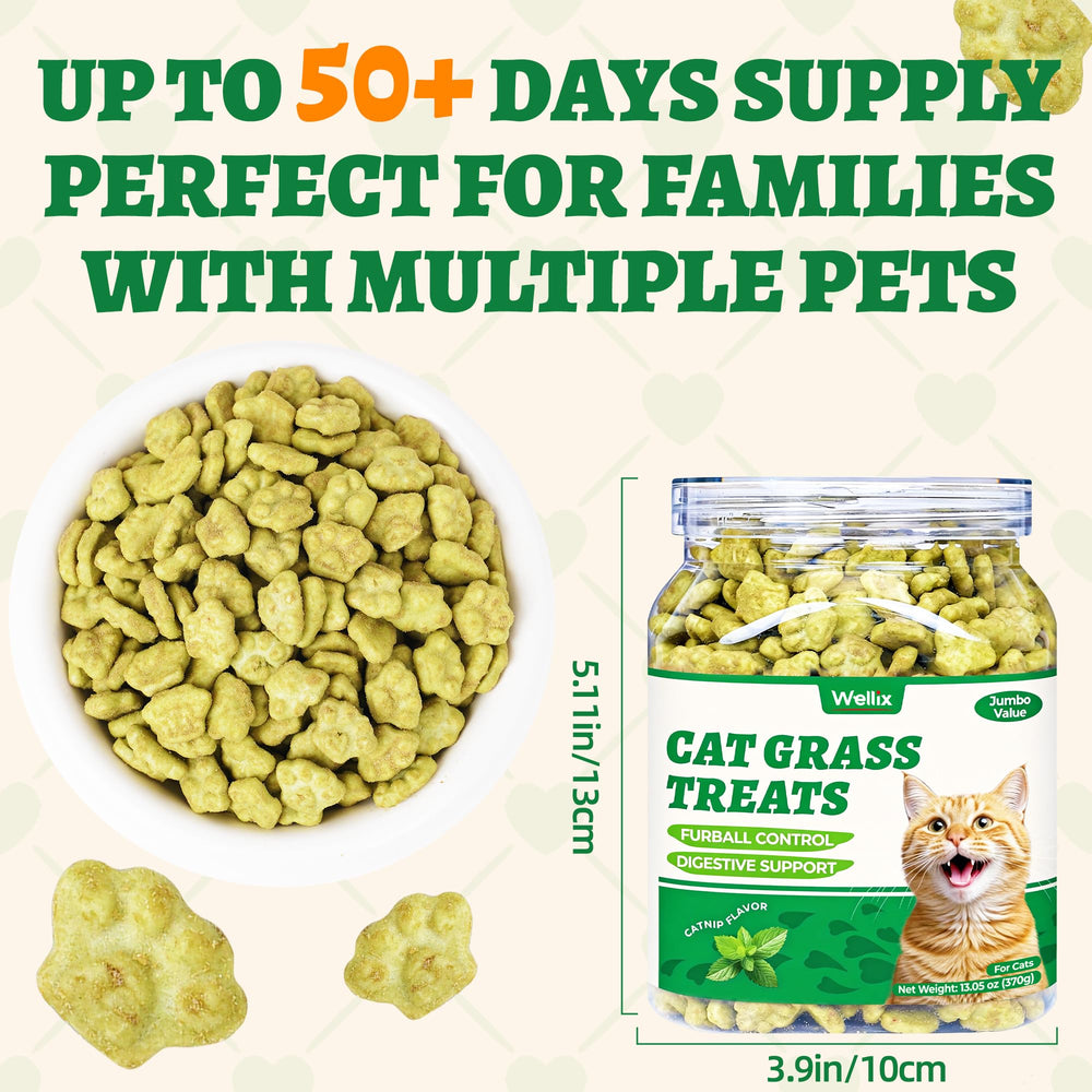 Wellix cat grass treats support teeth cleaning with crunchy texture.