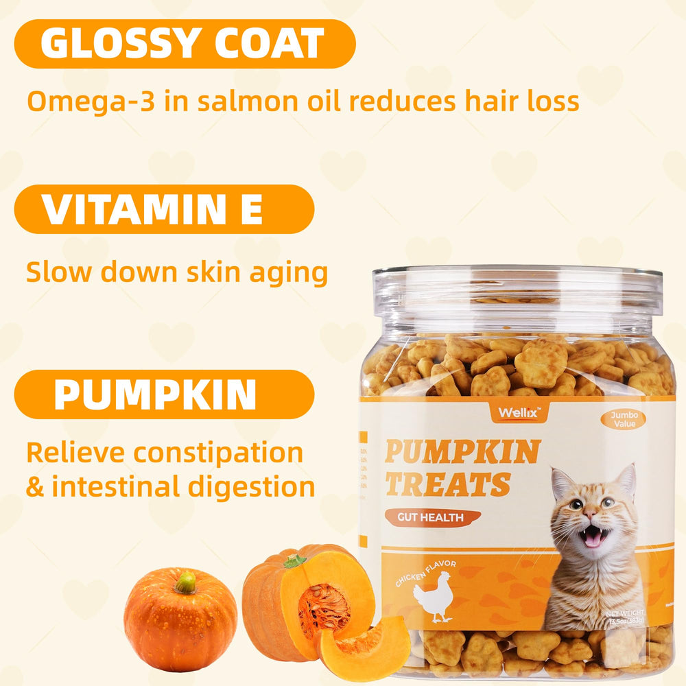 Wellix cat treat crunch as a training reward.