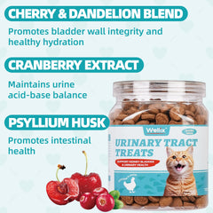 Wellix cranberry-cherry ingredients close-up highlights natural urinary support.