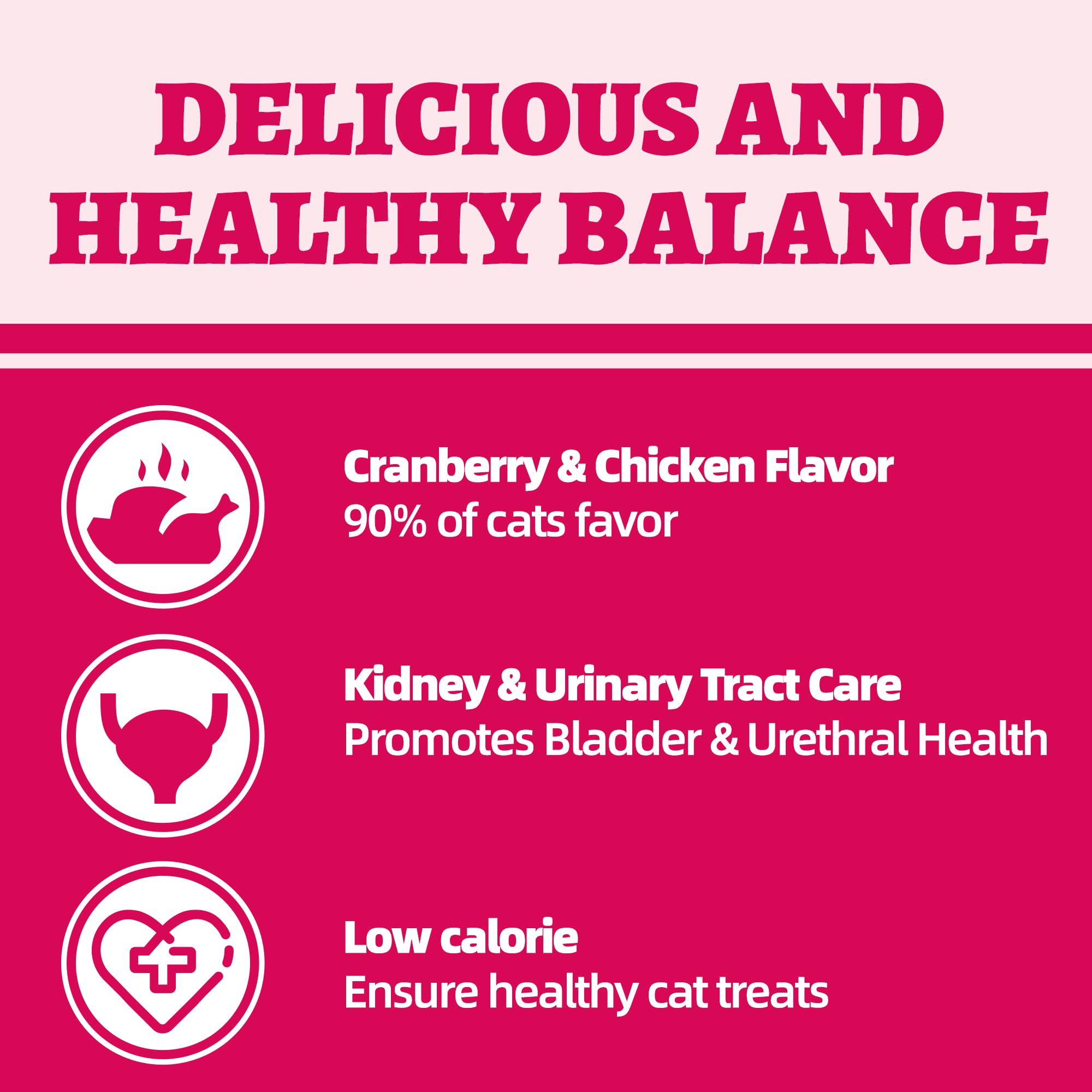 Wellix cat treats kibble in bowl for training rewards and daily snacks.