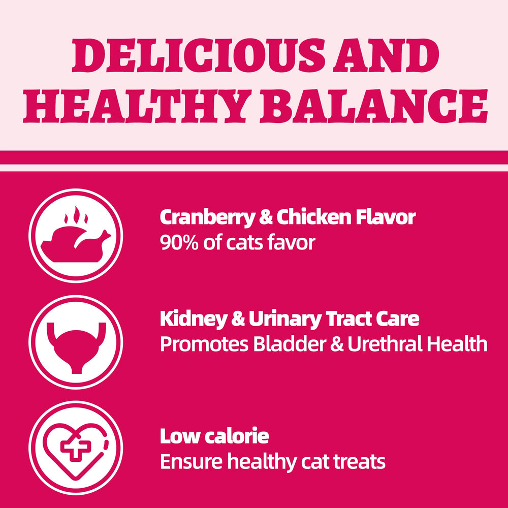 Wellix cat treats kibble in bowl for training rewards and daily snacks.