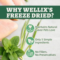 Wellix Catnip Treats with fish oil support coat health and skin.