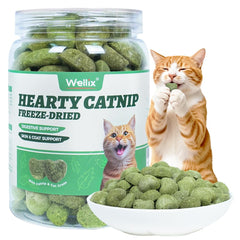 Wellix Catnip Treats freeze-dried chicken with cat grass for digestive support.