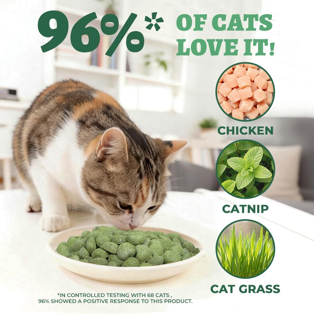 Wellix Catnip Treats heart-shaped snacks ideal for training and bonding.