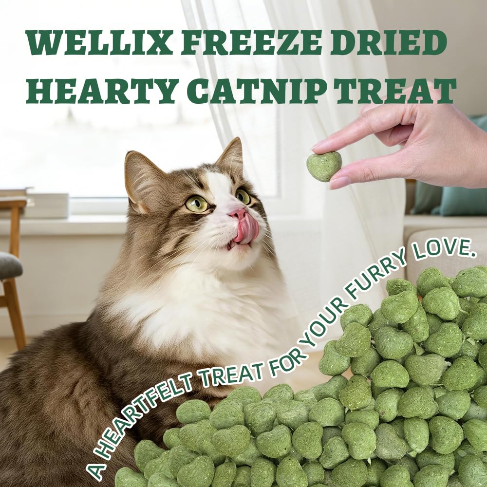 Wellix Catnip Treats come in a 3oz package for easy feeding.