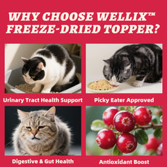 Wellix Chicken flakes topper indicating a balanced, protein-forward treat option