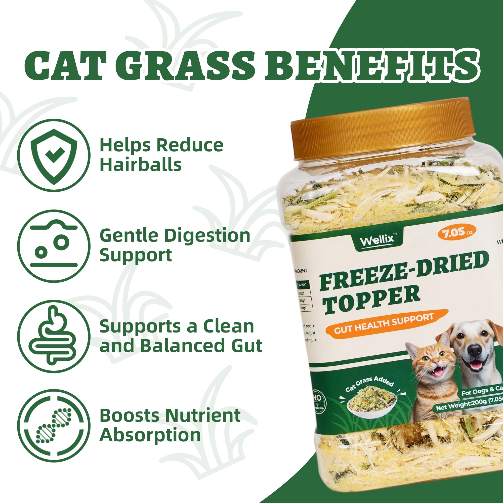 Wellix chicken flavor cat treats in bowl for cats
