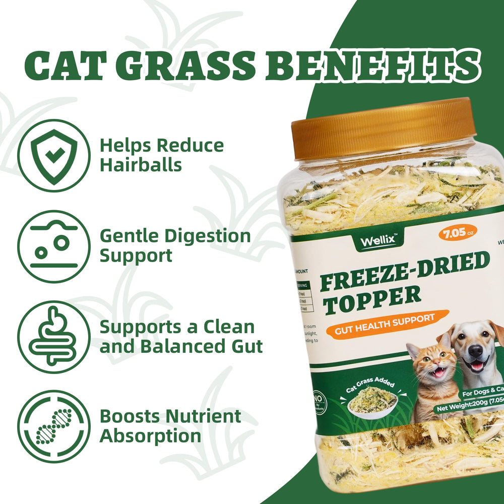 Wellix chicken flavor cat treats in bowl for cats