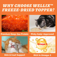 Wellix chicken ingredient close-up showcasing simple three-ingredient formula.