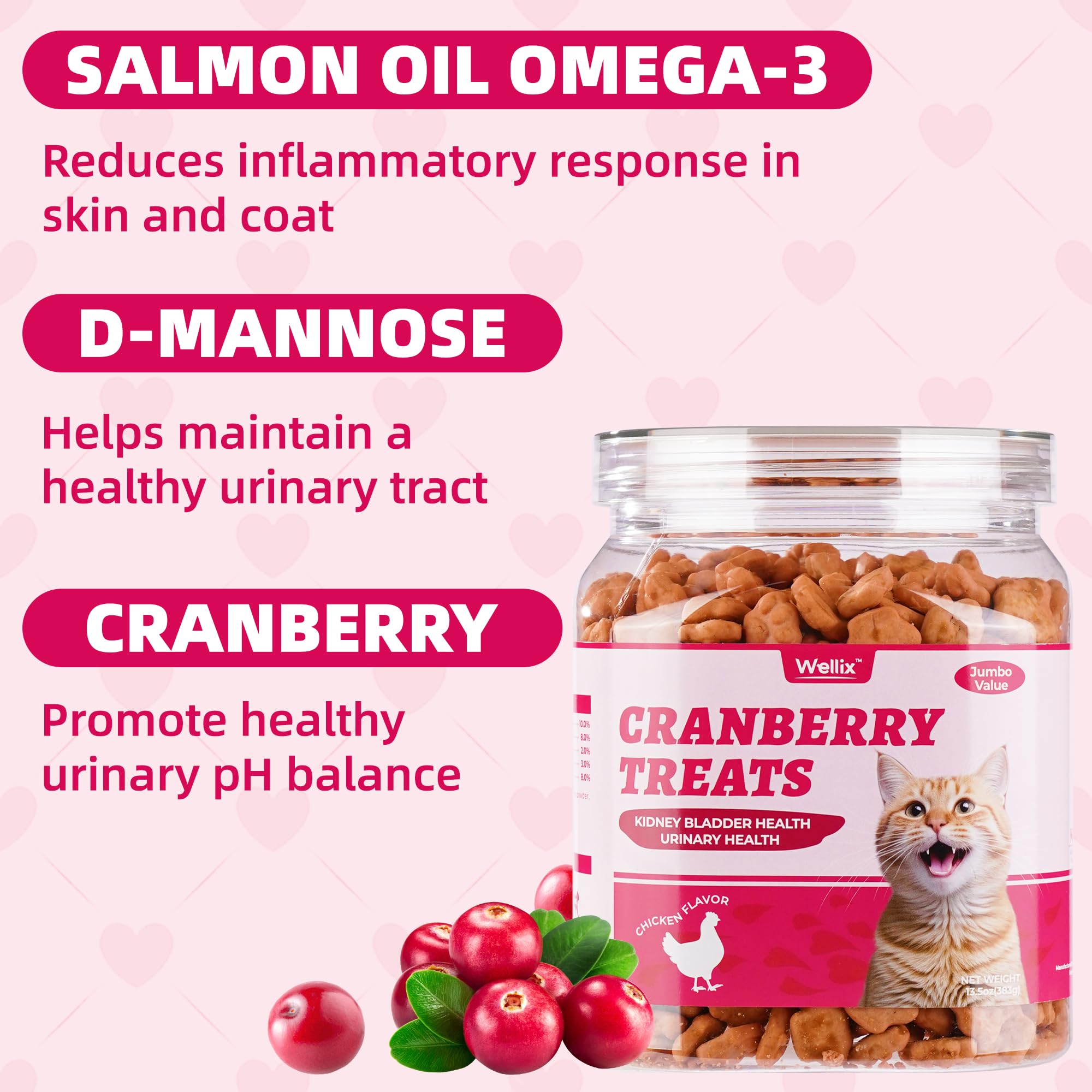 Wellix cranberries close-up highlighting natural ingredients for urinary health.